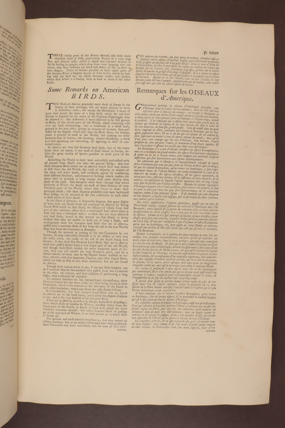 Page xxx verso